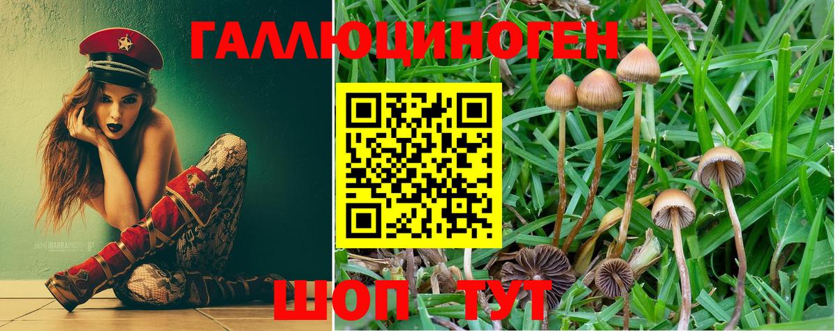 Галлюциногенные грибы MAGIC MUSHROOMS Камышин