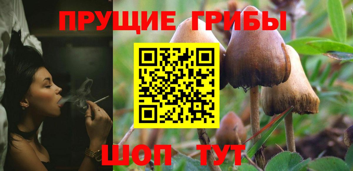 Камышин  Псилоцибиновые грибы Magic Shrooms  Вход с VPN 